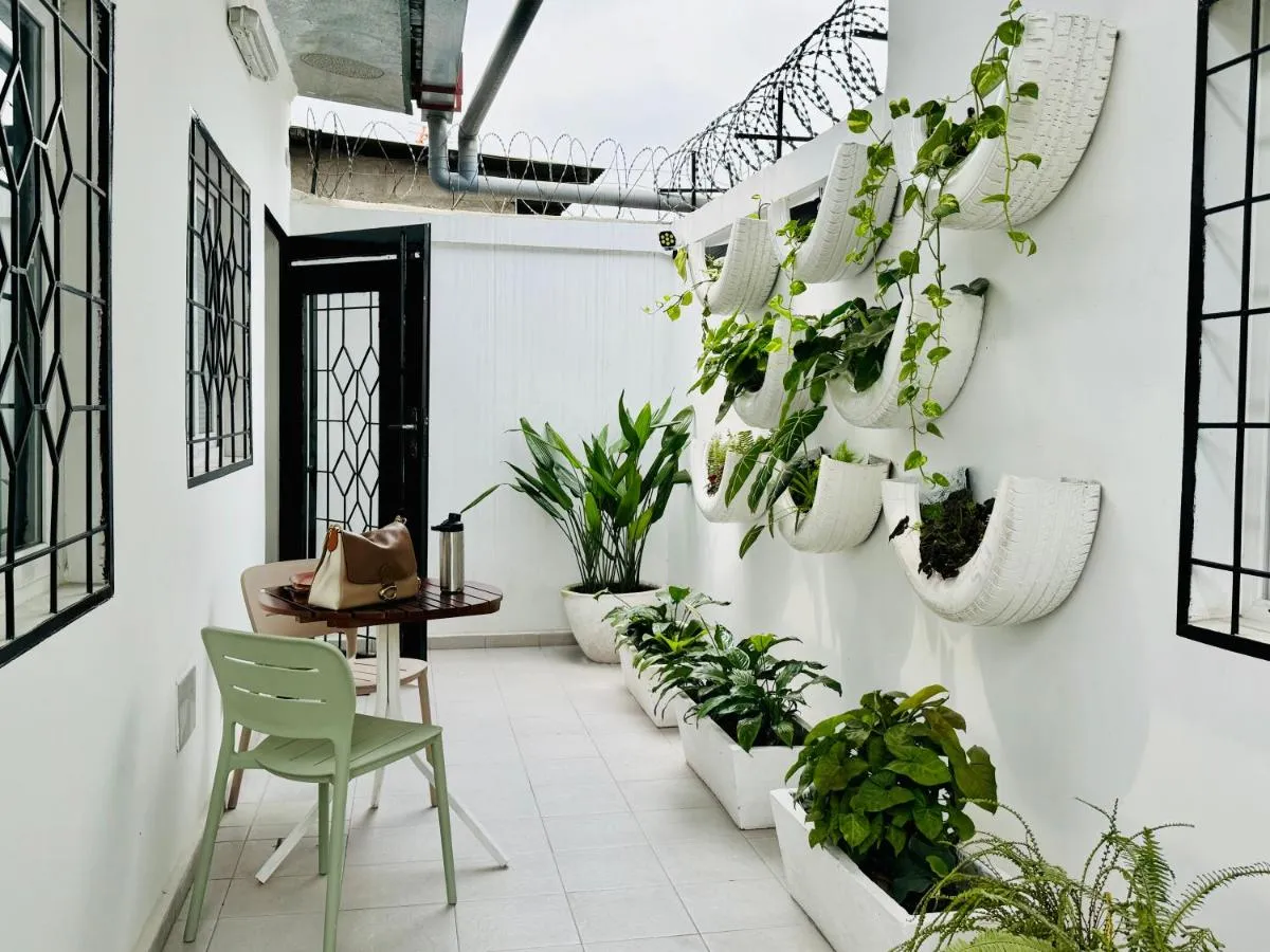 Image 5 of Oasis urbaine