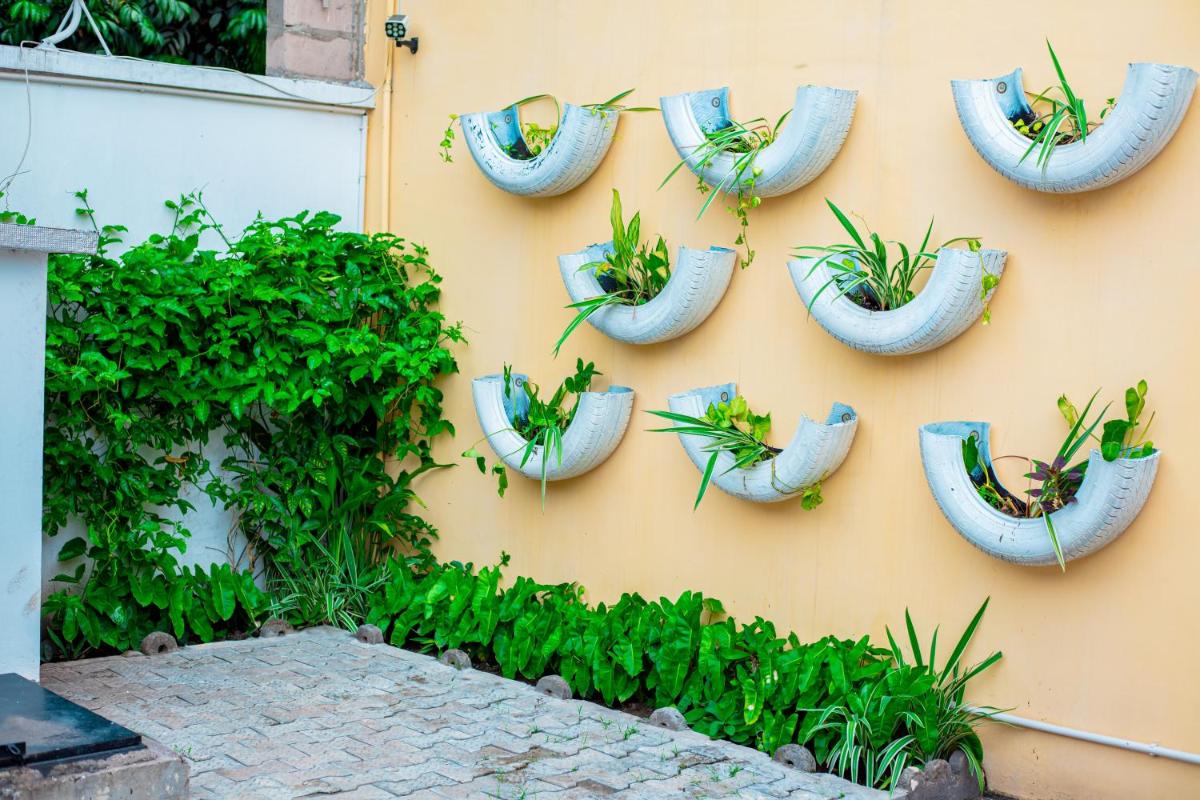 Image 5 of The Bacongo Gem